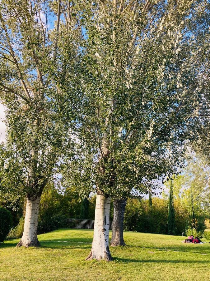 Podere La Chiusella B&B Rapolano Terme Buitenkant foto