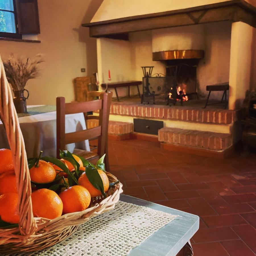 Podere La Chiusella B&B Rapolano Terme Buitenkant foto