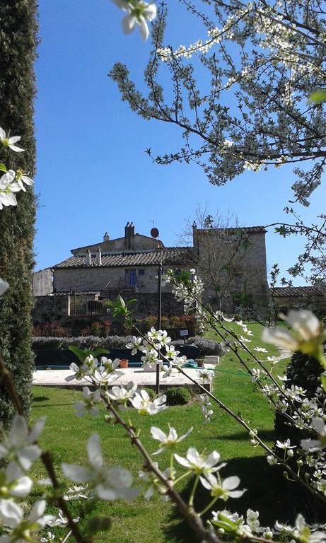 Podere La Chiusella B&B Rapolano Terme Buitenkant foto